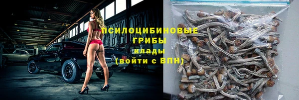 метадон Дмитриев