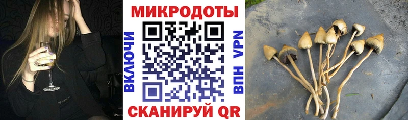 даркнет какой сайт  Чердынь  Галлюциногенные грибы мухоморы 